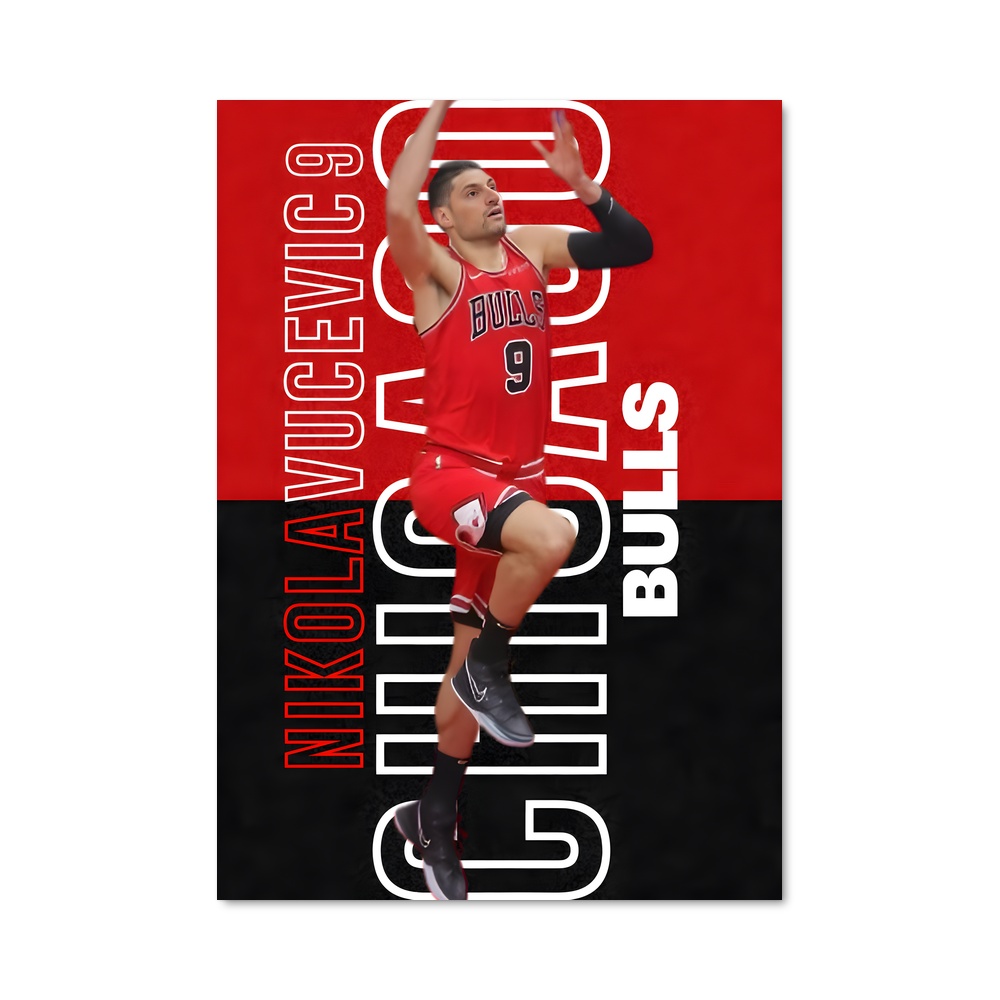 Poster Nikola vucevic Griffin